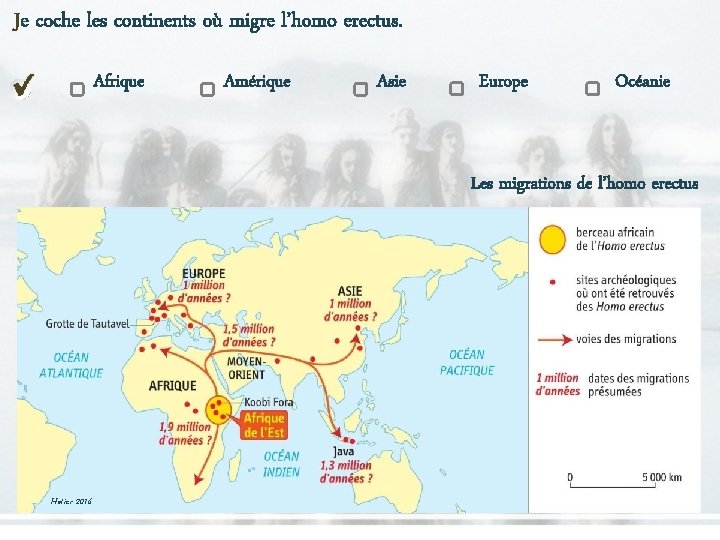 Je coche les continents où migre l’homo erectus. Afrique Amérique Asie Europe Océanie Les Je coche les continents où migre l’homo erectus. Afrique Amérique Asie Europe Océanie Les