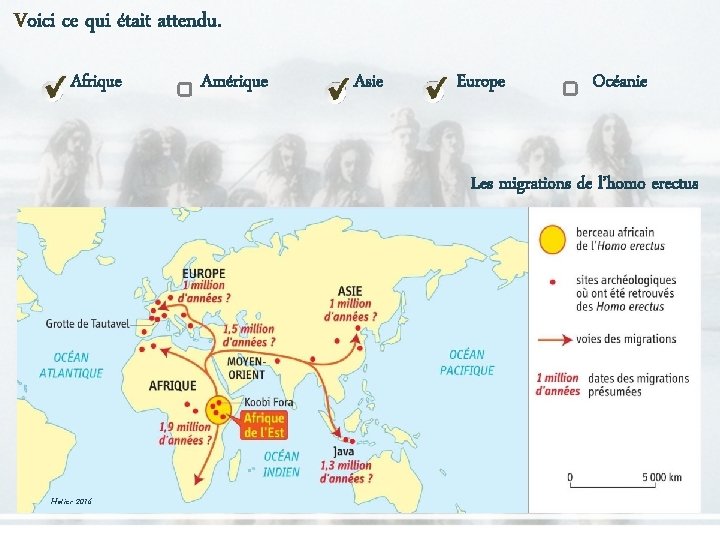 Voici ce qui était attendu. Afrique Amérique Asie Europe Océanie Les migrations de l’homo Voici ce qui était attendu. Afrique Amérique Asie Europe Océanie Les migrations de l’homo