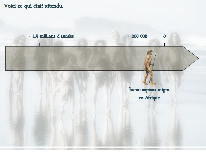 Voici ce qui était attendu. - 1, 9 millions d’années - 200 0 homo Voici ce qui était attendu. - 1, 9 millions d’années - 200 0 homo