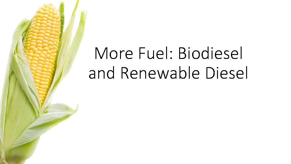 More Fuel: Biodiesel and Renewable Diesel 