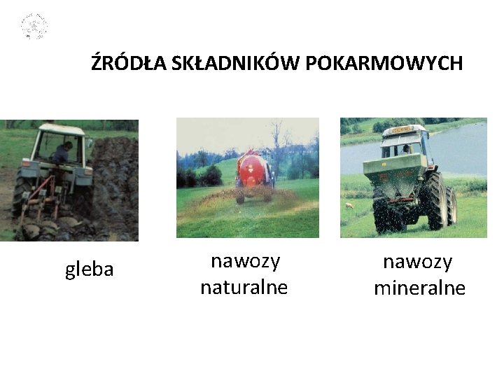 ŹRÓDŁA SKŁADNIKÓW POKARMOWYCH gleba nawozy naturalne nawozy mineralne 3 