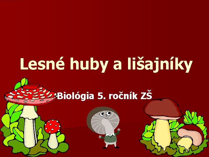 Lesné huby a lišajníky Biológia 5. ročník ZŠ 