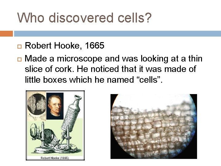 Who discovered cells? Robert Hooke, 1665 Made a microscope and was looking at a