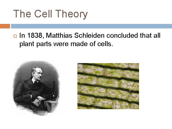 The Cell Theory In 1838, Matthias Schleiden concluded that all plant parts were made