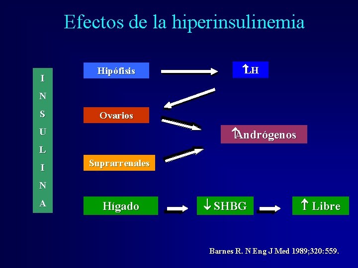 Efectos de la hiperinsulinemia I Hipófisis LH N S Ovarios U Andrógenos L I Efectos de la hiperinsulinemia I Hipófisis LH N S Ovarios U Andrógenos L I