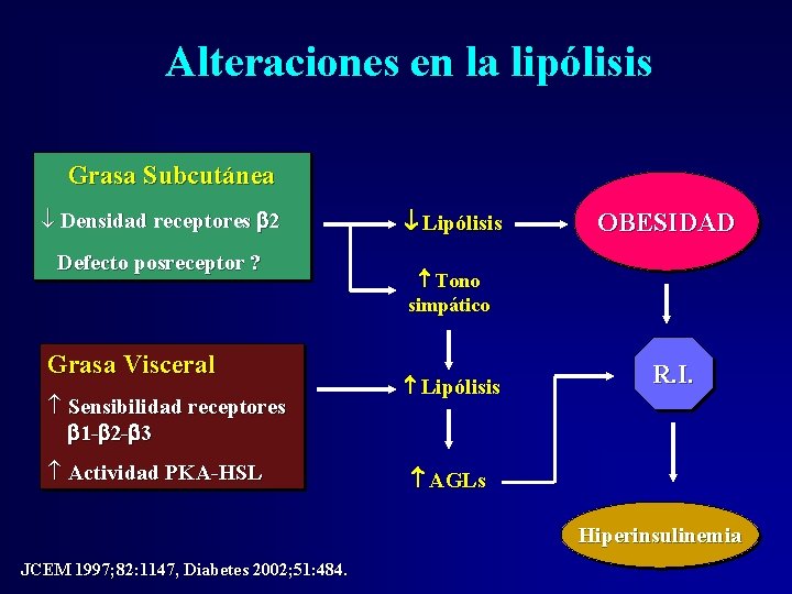 Alteraciones en la lipólisis Grasa Subcutánea ¯ Densidad receptores 2 Defecto posreceptor ? Grasa Alteraciones en la lipólisis Grasa Subcutánea ¯ Densidad receptores 2 Defecto posreceptor ? Grasa