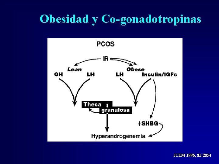 Obesidad y Co-gonadotropinas JCEM 1996, 81: 2854 Obesidad y Co-gonadotropinas JCEM 1996, 81: 2854