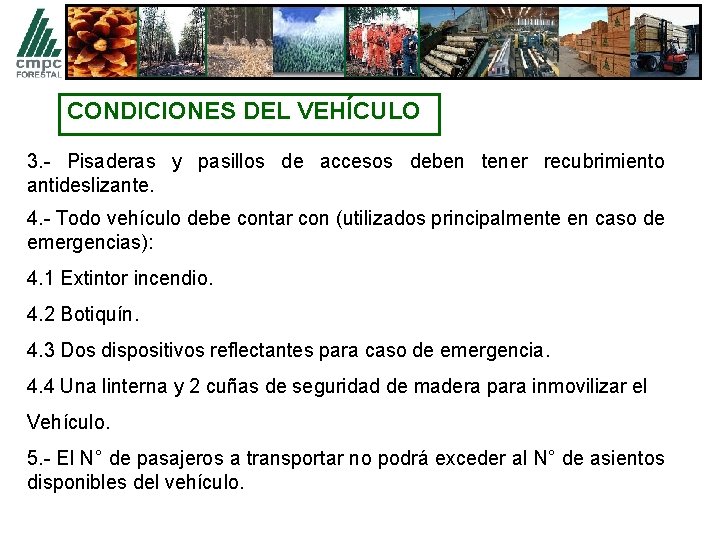 CONDICIONES DEL VEHÍCULO 3. - Pisaderas y pasillos de accesos deben tener recubrimiento antideslizante.