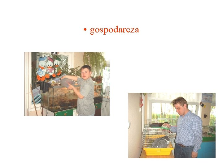  • gospodarcza 