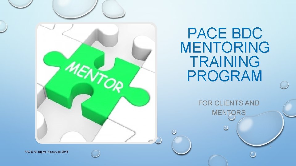 PACE BDC MENTORING TRAINING PROGRAM FOR CLIENTS AND MENTORS 1 PACE All Rights Reserved