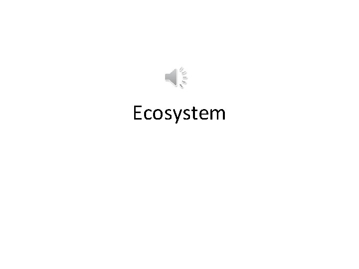 Ecosystem 