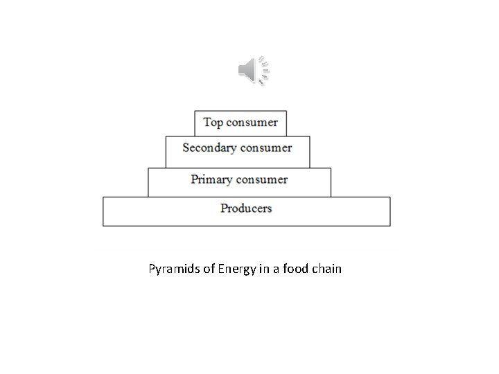 Pyramids of Energy in a food chain 