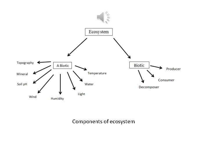 Components of ecosystem 