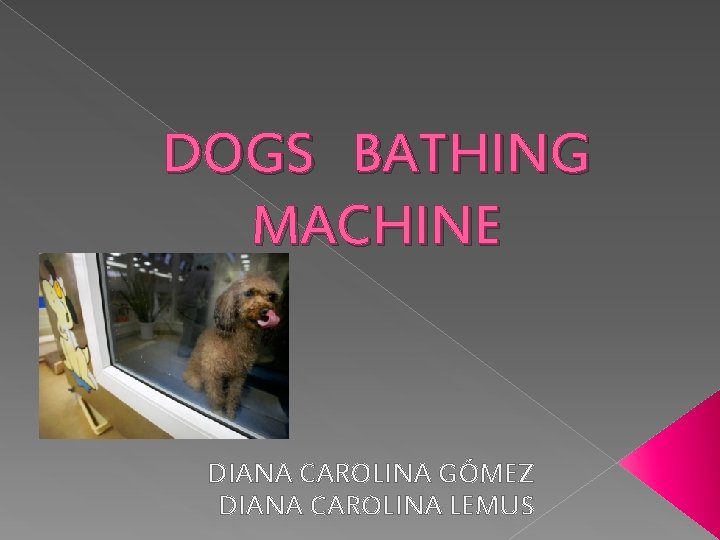 DOGS BATHING MACHINE DIANA CAROLINA GÓMEZ DIANA CAROLINA LEMUS 