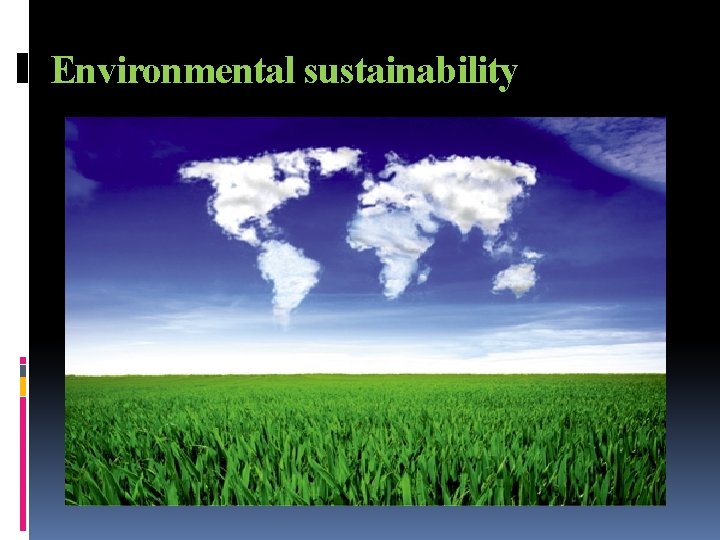 Environmental sustainability 