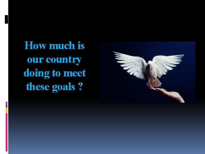 How much is our country doing to meet these goals ? 