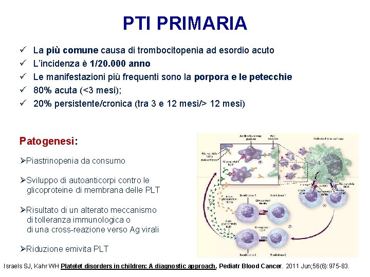 PTI PRIMARIA ü ü ü La più comune causa di trombocitopenia ad esordio acuto