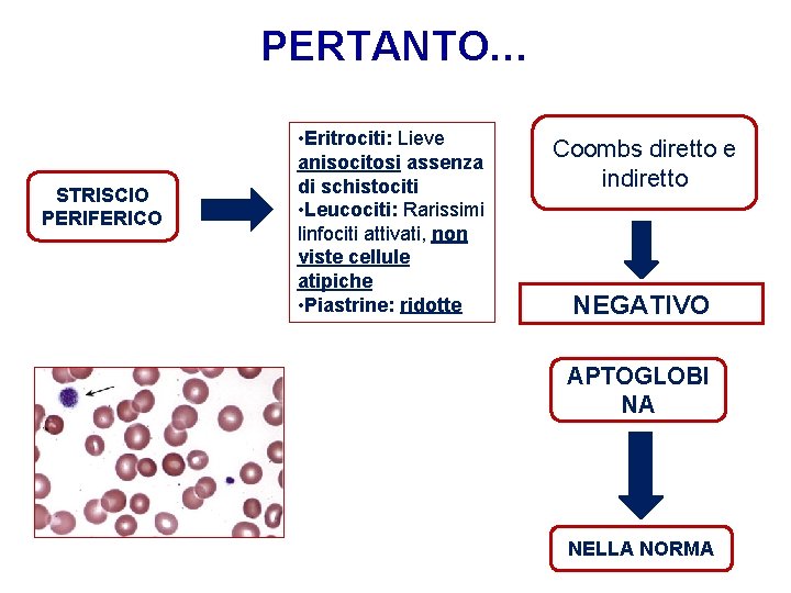 PERTANTO… STRISCIO PERIFERICO • Eritrociti: Lieve anisocitosi assenza di schistociti • Leucociti: Rarissimi linfociti