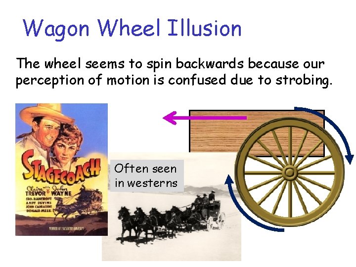 Wagon Wheel Illusion The wheel seems to spin backwards because our perception of motion Wagon Wheel Illusion The wheel seems to spin backwards because our perception of motion
