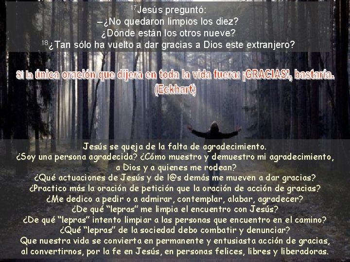 17 Jesús preguntó: –¿No quedaron limpios los diez? ¿Dónde están los otros nueve? 18¿Tan