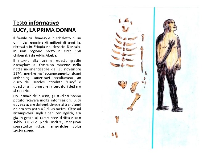 Testo informativo LUCY, LA PRIMA DONNA Il fossile più famoso è lo scheletro di