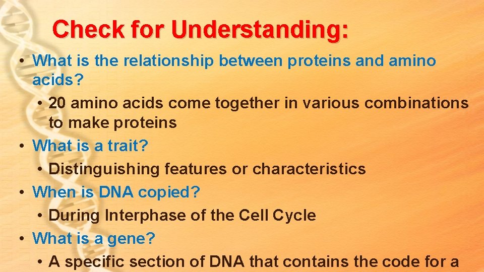 Check for Understanding: • What is the relationship between proteins and amino acids? • Check for Understanding: • What is the relationship between proteins and amino acids? •