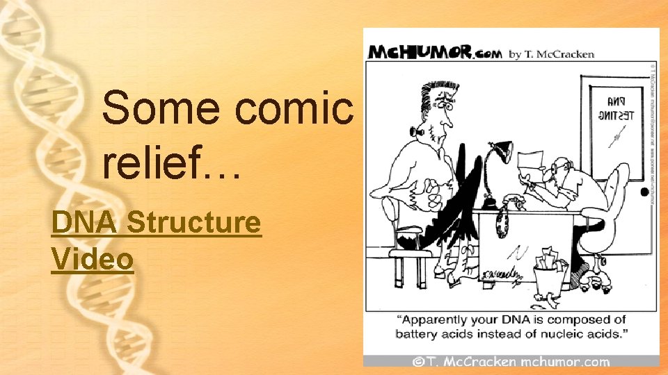 Some comic relief… DNA Structure Video Some comic relief… DNA Structure Video