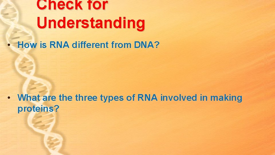 Check for Understanding • How is RNA different from DNA? • What are three Check for Understanding • How is RNA different from DNA? • What are three