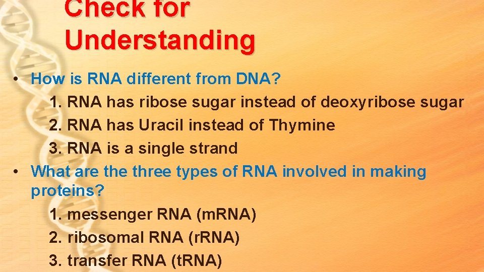 Check for Understanding • How is RNA different from DNA? 1. RNA has ribose Check for Understanding • How is RNA different from DNA? 1. RNA has ribose
