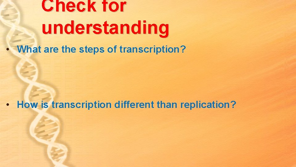 Check for understanding • What are the steps of transcription? • How is transcription Check for understanding • What are the steps of transcription? • How is transcription
