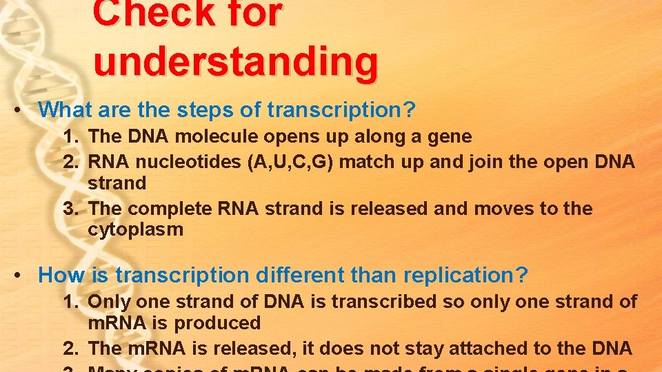 Check for understanding • What are the steps of transcription? 1. The DNA molecule Check for understanding • What are the steps of transcription? 1. The DNA molecule