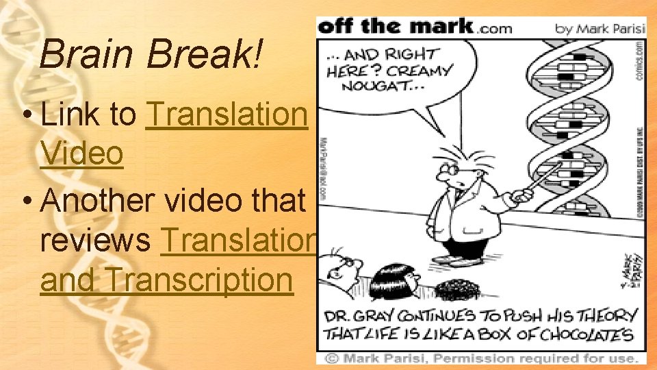 Brain Break! • Link to Translation Video • Another video that reviews Translation and Brain Break! • Link to Translation Video • Another video that reviews Translation and