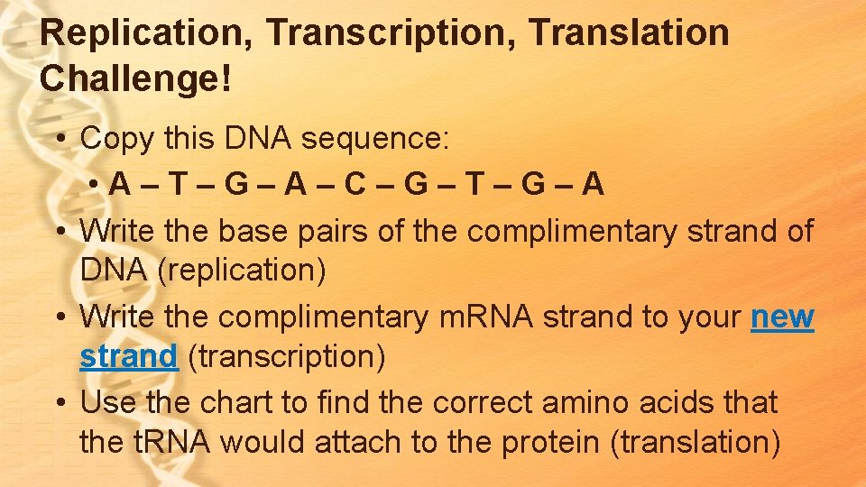 Replication, Transcription, Translation Challenge! • Copy this DNA sequence: • A–T–G–A–C–G–T–G–A • Write the Replication, Transcription, Translation Challenge! • Copy this DNA sequence: • A–T–G–A–C–G–T–G–A • Write the