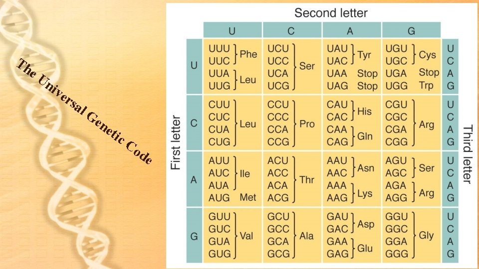Th e. U niv e rsa l. G en eti c. C od e Th e. U niv e rsa l. G en eti c. C od e