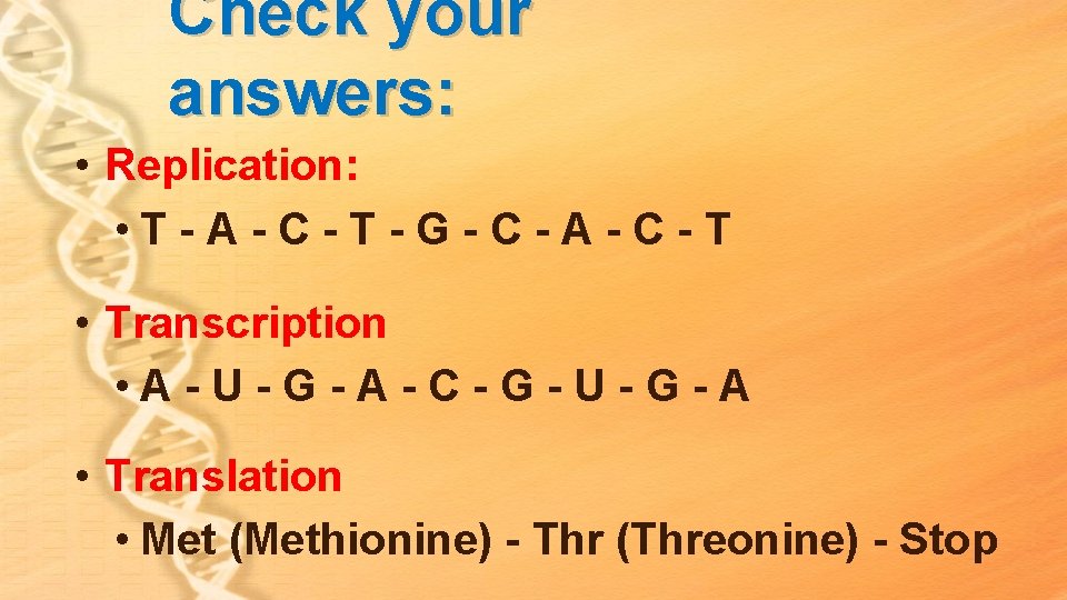Check your answers: • Replication: • T - A - C - T - Check your answers: • Replication: • T - A - C - T -