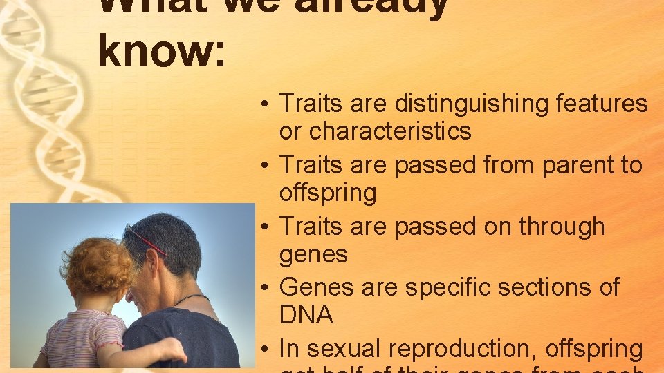 What we already know: • Traits are distinguishing features or characteristics • Traits are What we already know: • Traits are distinguishing features or characteristics • Traits are