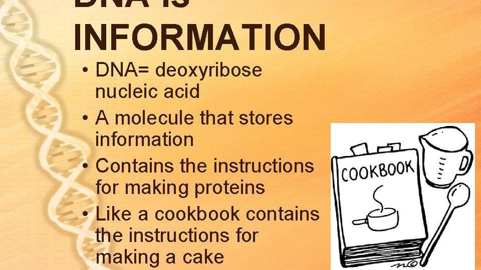 DNA is INFORMATION • DNA= deoxyribose nucleic acid • A molecule that stores information DNA is INFORMATION • DNA= deoxyribose nucleic acid • A molecule that stores information