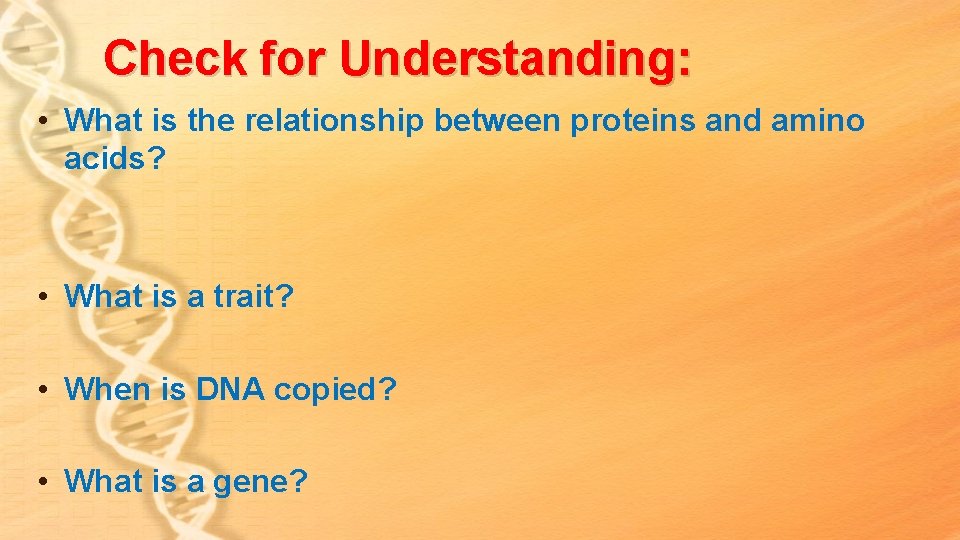Check for Understanding: • What is the relationship between proteins and amino acids? • Check for Understanding: • What is the relationship between proteins and amino acids? •
