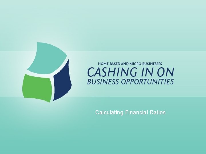 Calculating Financial Ratios 