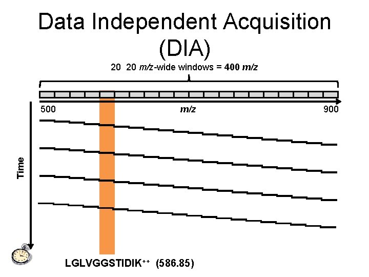 Data Independent Acquisition (DIA) 20 20 m/z-wide windows = 400 m/z Time 500 LGLVGGSTIDIK++