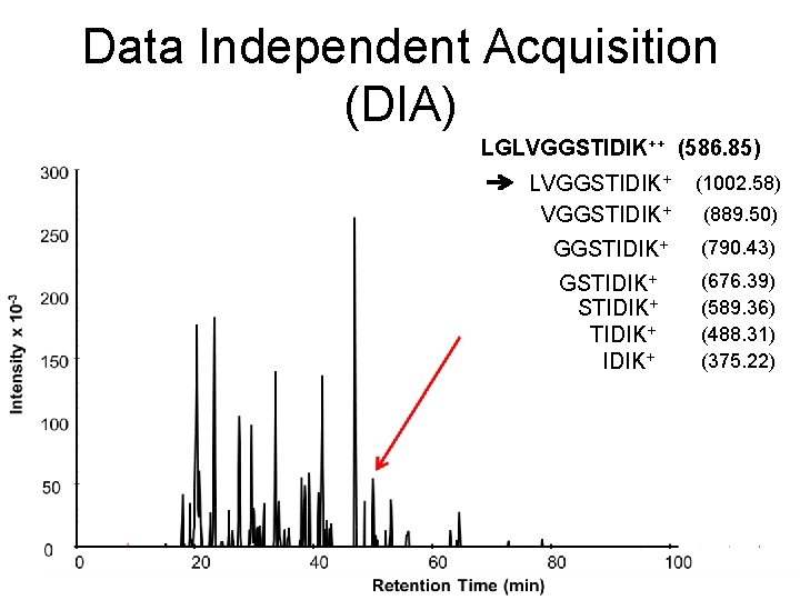 Data Independent Acquisition (DIA) LGLVGGSTIDIK++ (586. 85) LVGGSTIDIK+ (1002. 58) GGSTIDIK+ (790. 43) GSTIDIK+