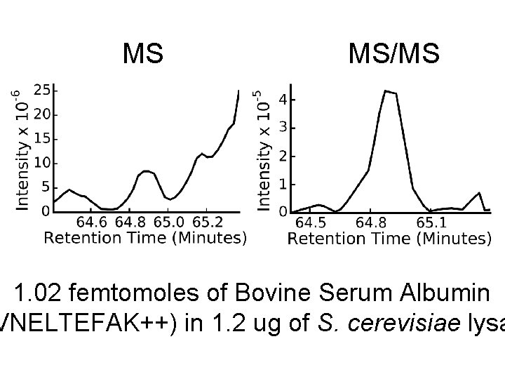 MS MS/MS 1. 02 femtomoles of Bovine Serum Albumin VNELTEFAK++) in 1. 2 ug