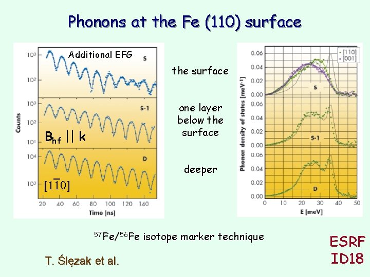 Phonons at the Fe (110) surface Additional EFG the surface one layer below the Phonons at the Fe (110) surface Additional EFG the surface one layer below the