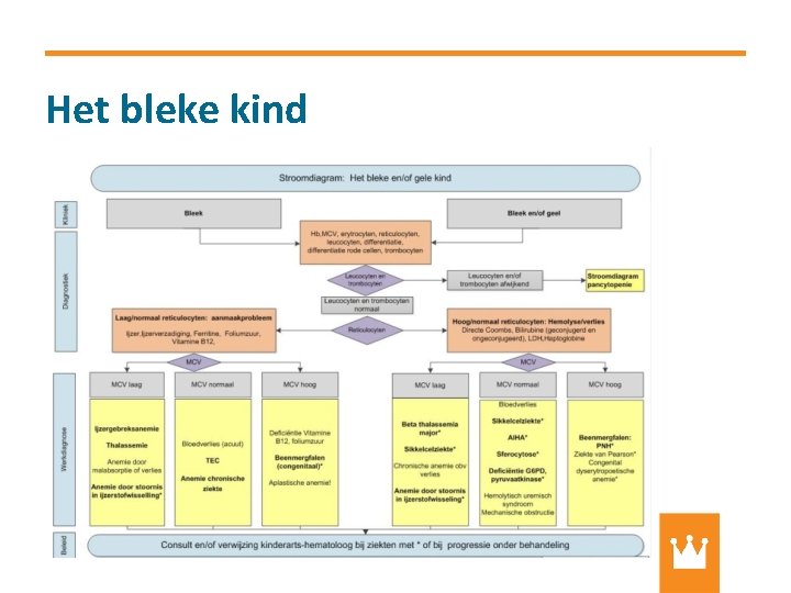 Het bleke kind 