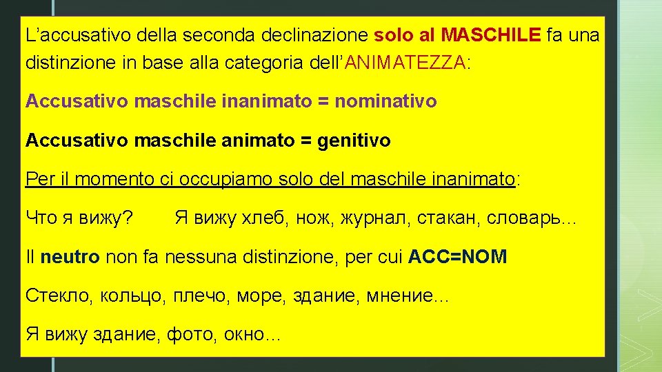 L’accusativozdella seconda declinazione solo al MASCHILE fa una distinzione in base alla categoria dell’ANIMATEZZA: