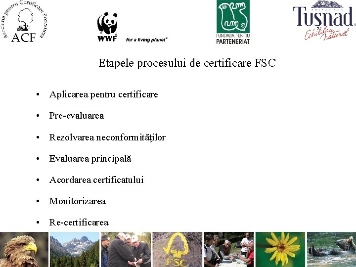 Etapele procesului de certificare FSC • Aplicarea pentru certificare • Pre-evaluarea • Rezolvarea neconformităţilor