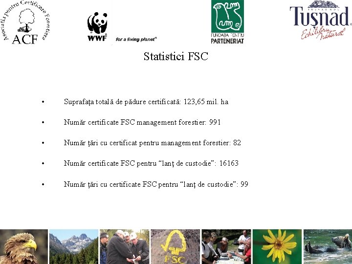 Statistici FSC • Suprafaţa totală de pădure certificată: 123, 65 mil. ha • Număr