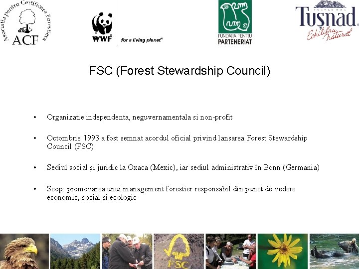 FSC (Forest Stewardship Council) • Organizatie independenta, neguvernamentala si non-profit • Octombrie 1993 a