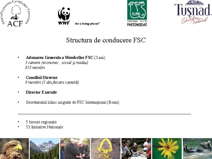 Structura de conducere FSC • Adunarea Generala a Membrilor FSC (3 ani) 3 camere