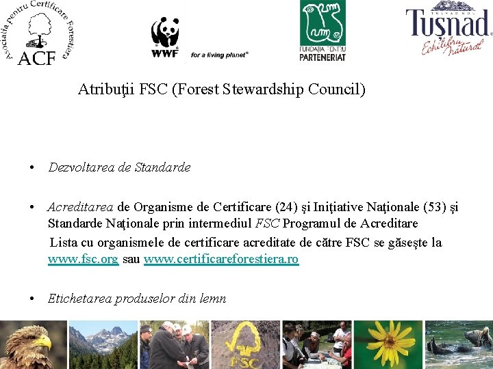 Atribuţii FSC (Forest Stewardship Council) • Dezvoltarea de Standarde • Acreditarea de Organisme de
